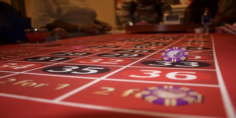 Live Casino Growth Trends