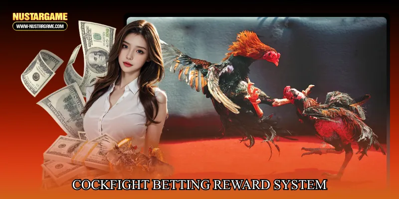 cockfighting live match game