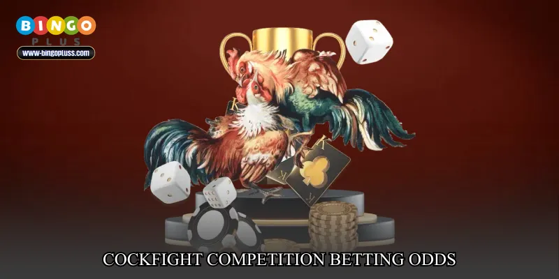 cockfight competition betting odds