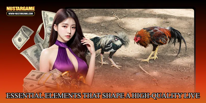 Essential Elements That Shape a High-Quality Live Match Experience