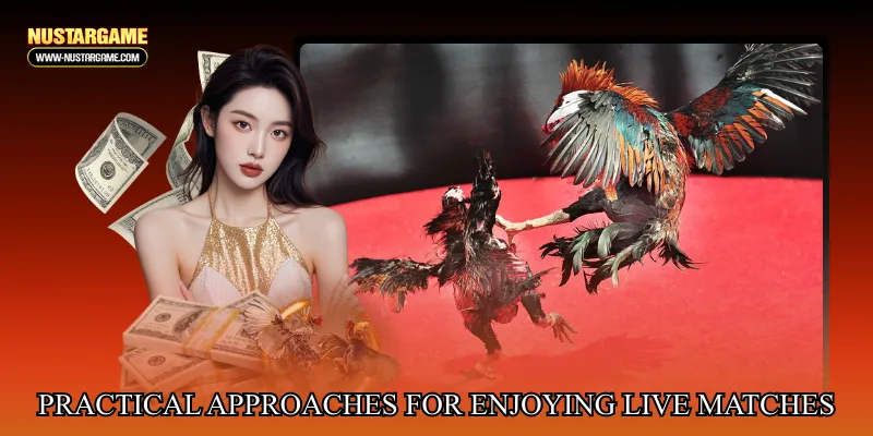 Practical Approaches for Enjoying Live Matches Responsibly